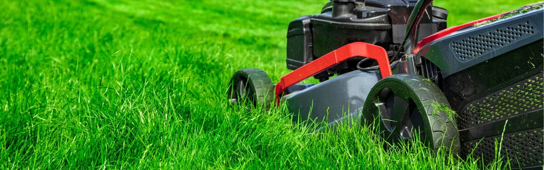 Mowing Season Is Back: How to Get Your Queensland Lawn Ready for Spring