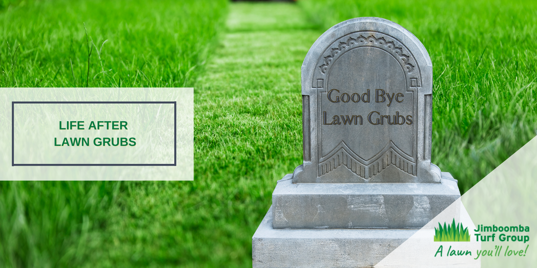 Life After Lawn Grubs