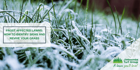 Frost Affected Lawns: How to Identify Signs and Revive Your Grass