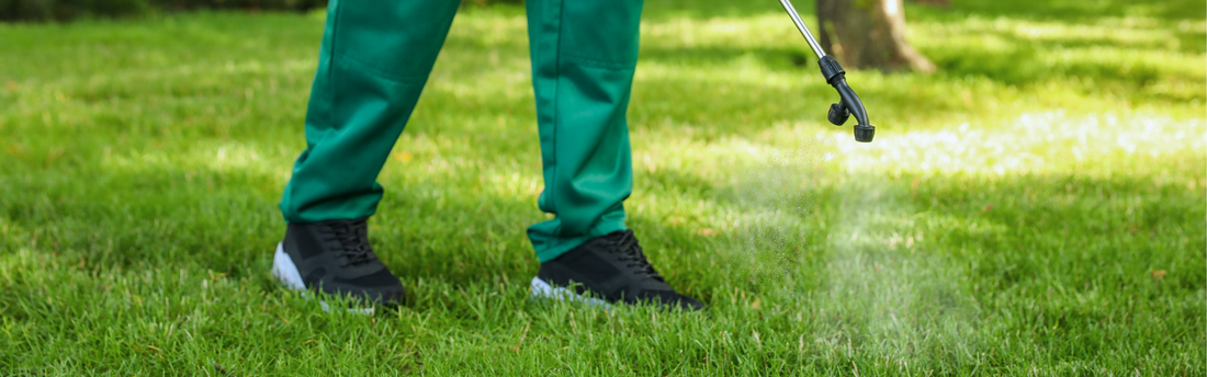 Armyworm and Pest Management in Your Backyard This Winter