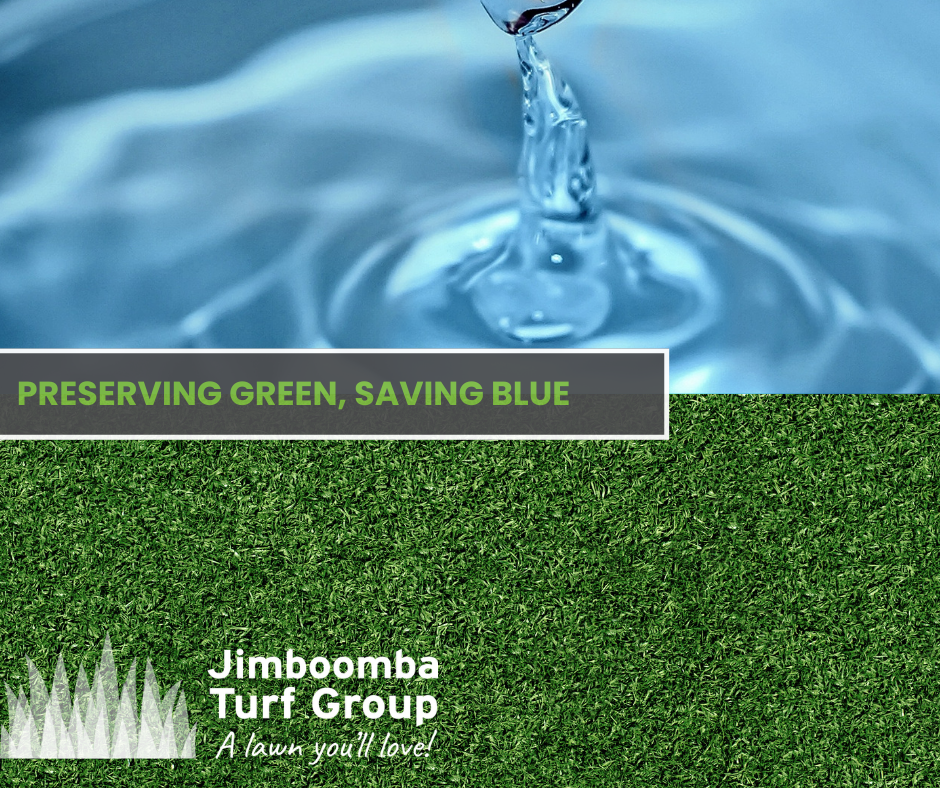 Preserving Green, Saving Blue: Jimboomba Turf's Guide to Water-Efficient Summer Lawn