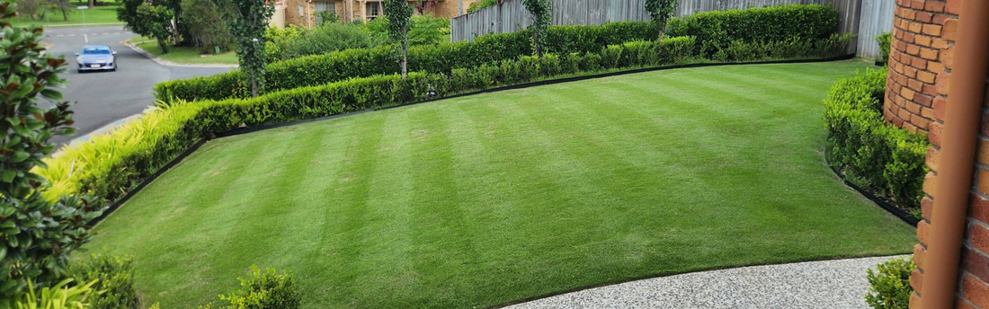 Don't Let Your Lawn Check Out for Winter Just Yet