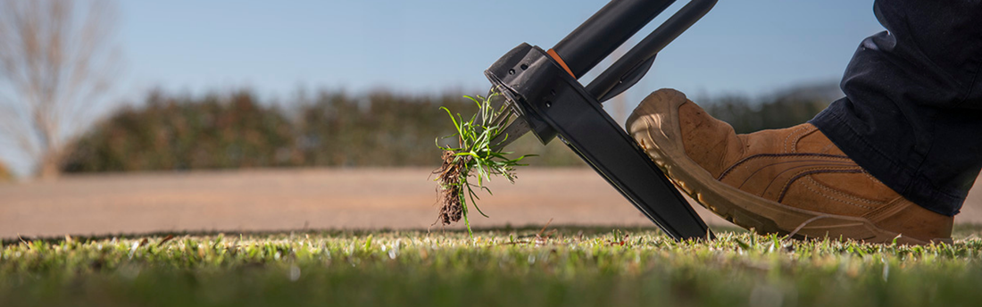 A DIY Homeowner’s Handbook to Weed Removal and Aftercare
