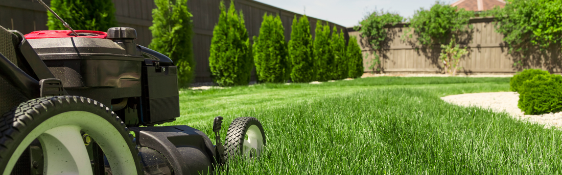 What To Do With Grass Clippings: Your Complete Guide for Brisbane Lawns