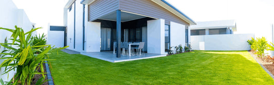 Tips for Growing a Healthy Lawn in Shaded Areas