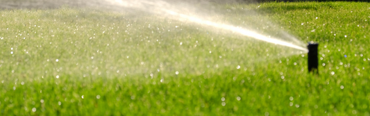 Watering and Irrigating Your Turf: A Complete Guide