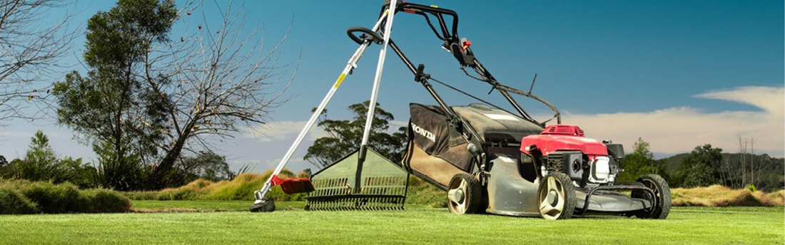 The Top 10 Lawn Care Mistakes to Avoid