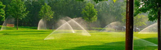 The Ultimate Guide to Watering Your Lawn in Summer in South East Queensland