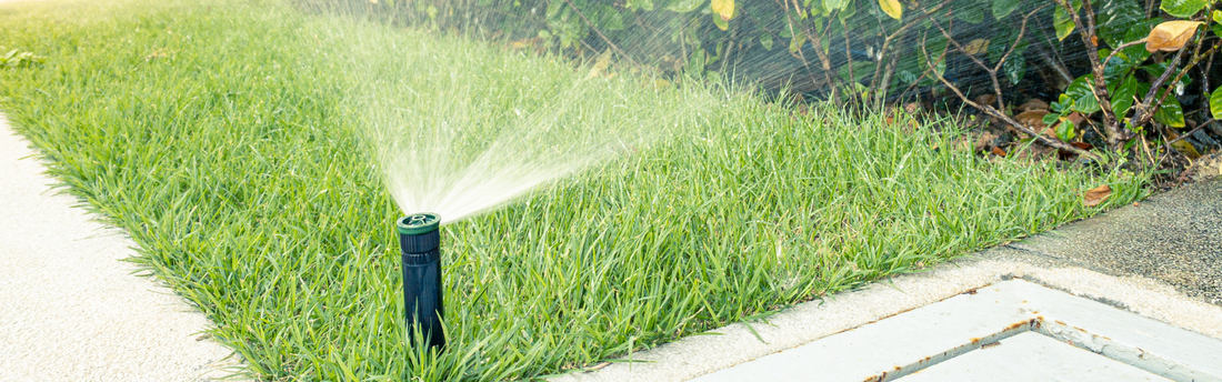 Summer Watering in Southeast Queensland: A DIY Guide to Keeping Your Lawn Thriving