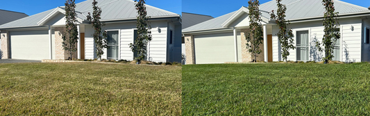 Keep Your Lawn Looking a Million Bucks This Winter With ColourGuard Plus