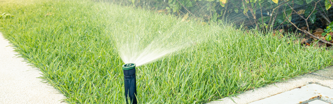 Do I Need to Water My Lawn in a Queensland Winter?