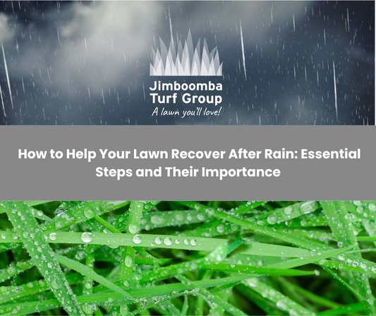 How to Help Your Lawn Recover After Rain: Essential Steps and Their Importance
