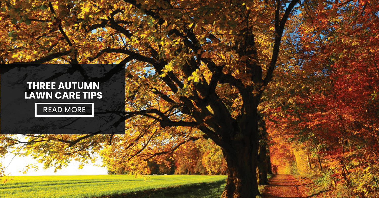 three-autumn-lawn-care-tips-jimboomba-turf-group