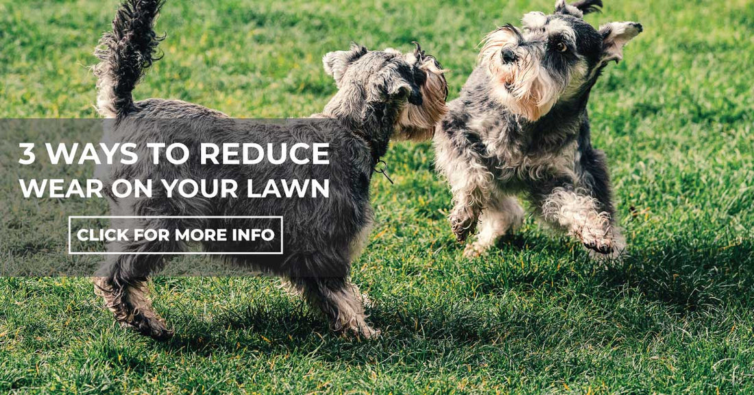 Three Ways To Reduce Wear On Your Lawn