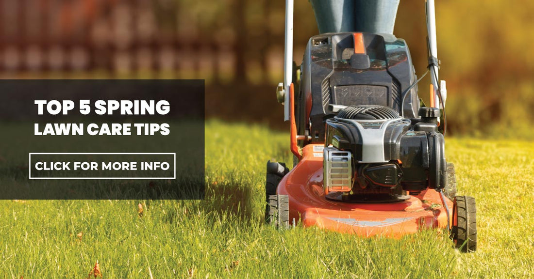 Top 5 spring lawn care tips