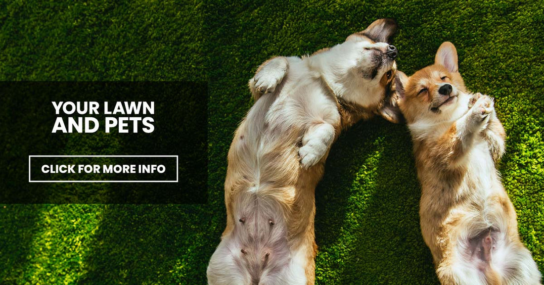Your Lawn and Pets
