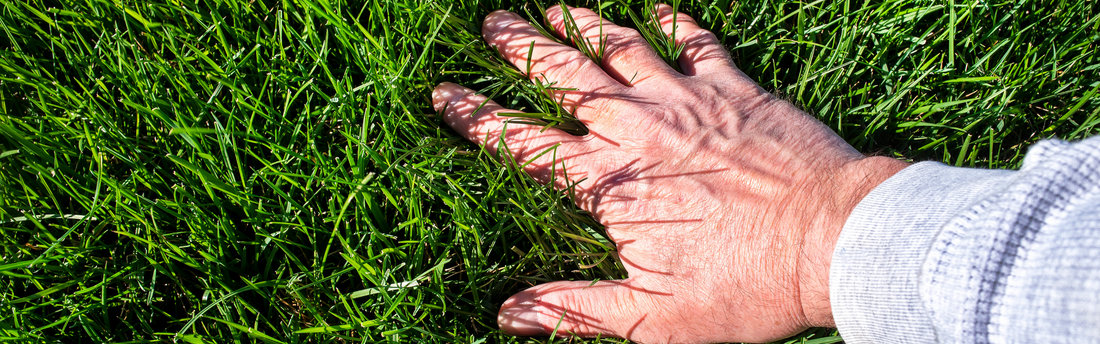 Your Winter Lawn Care Kit: Everything You Need to Keep the Lawn You Love Looking Great