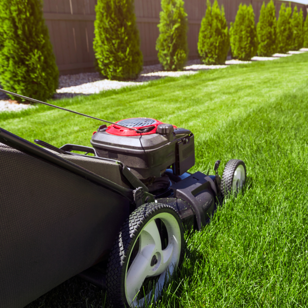 What Time Can You Start Mowing? (QLD)
