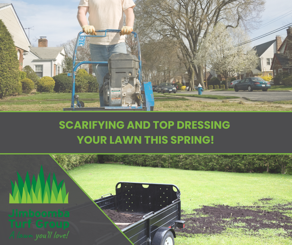 Unlock the Secrets to a Lush Green Lawn: Scarifying and Top Dressing Unveiled
