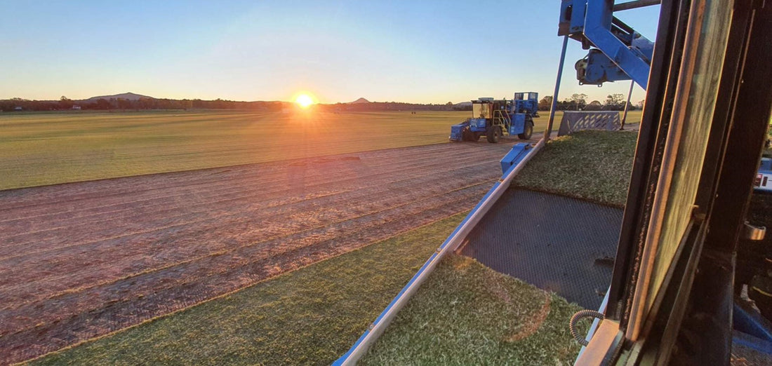 Residential Jimboomba Turf Group