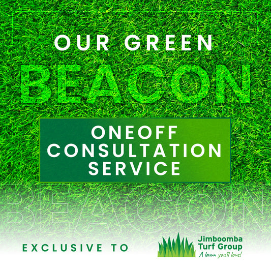 Our Green Beacon - Consultation Service