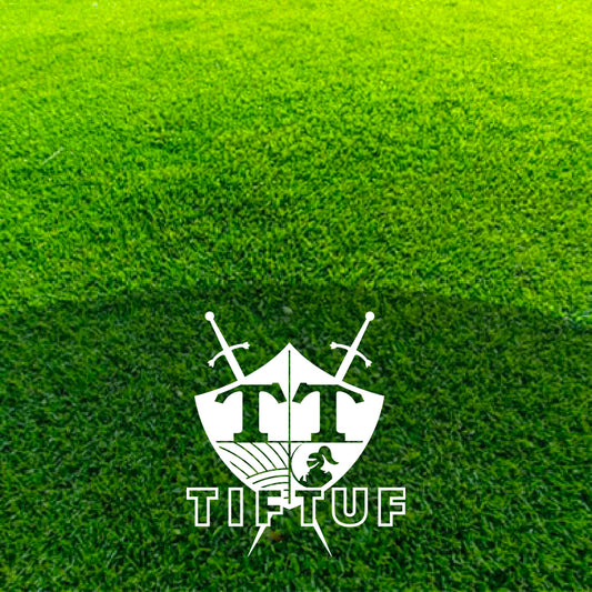 Turf - TifTuf Bermuda Grass