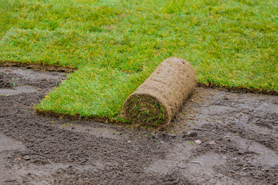 How to lay turf – Jimboomba Turf Group