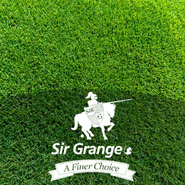 Sir Grange Zoysia