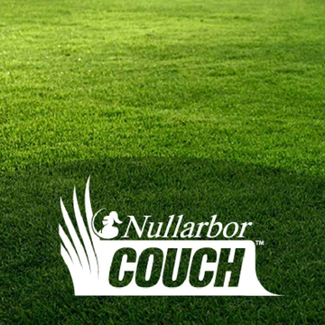 Nullarbor Couch